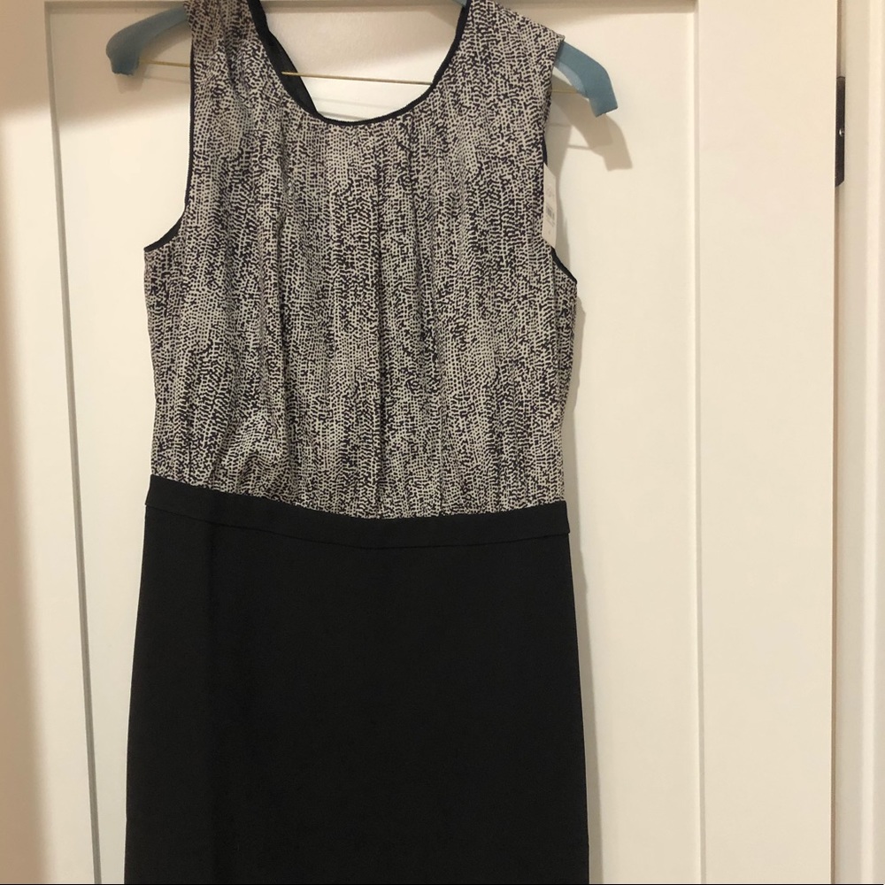 NWT LOFT dress